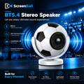 ScreenBall